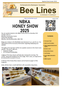 Bee Lines Autumn 2025 cover